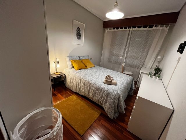 Spain furnished Room in Basque Country, Bilbao