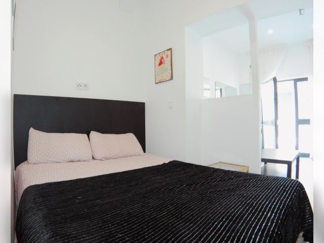 Spain furnished Apartment in Madrid, Madrid