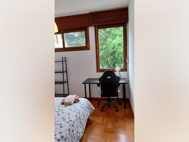 Portugal furnished Room in Porto-North Portugal, Porto Oporto