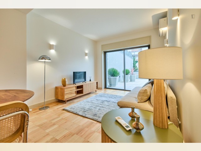 Portugal furnished Apartment in Porto-North Portugal, Porto Oporto